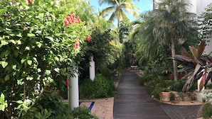 A wooden pathway flanked by lush greenery and tropical plants, leading to a white building. - Sapphire Beach Club Resort (Lowlands)