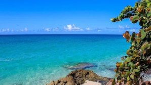 A coastal scene with clear turquoise waters, a rocky shoreline, and dense foliage. - Sapphire Beach Club Resort (Lowlands)