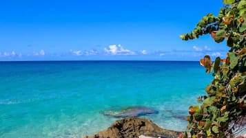 Playa en los alrededores y playa de arena blanca 