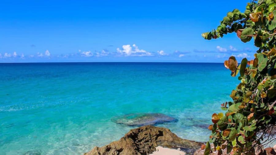 Sapphire Beach Club Resort