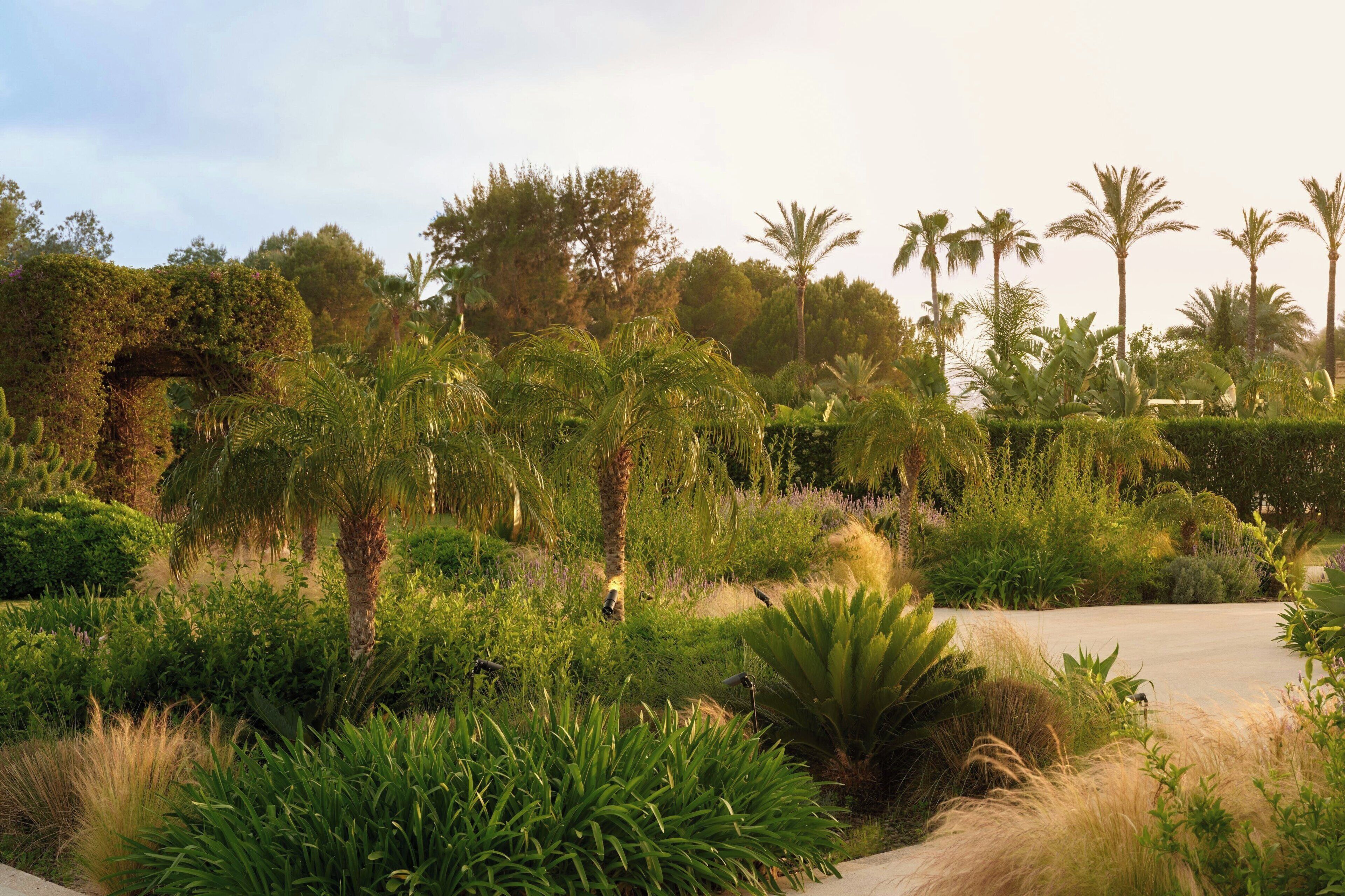 A landscaped garden with various plants and trees, including palm trees and a large bush.