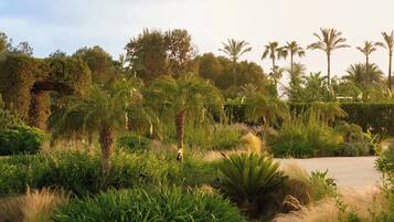 A landscaped garden with various plants and trees, including palm trees and a large bush.