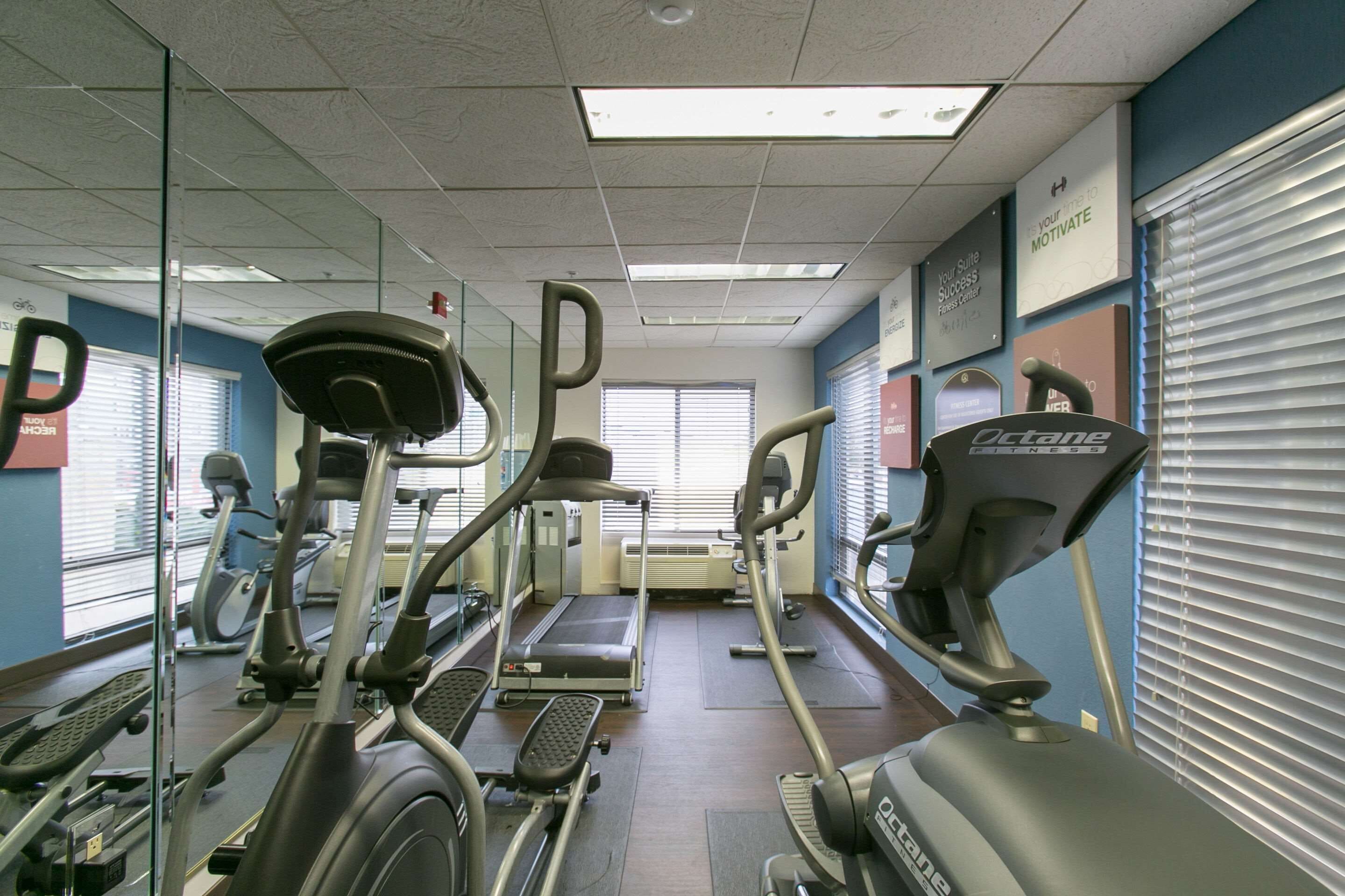 A gym with treadmills, elliptical machines, and a stationary bike.