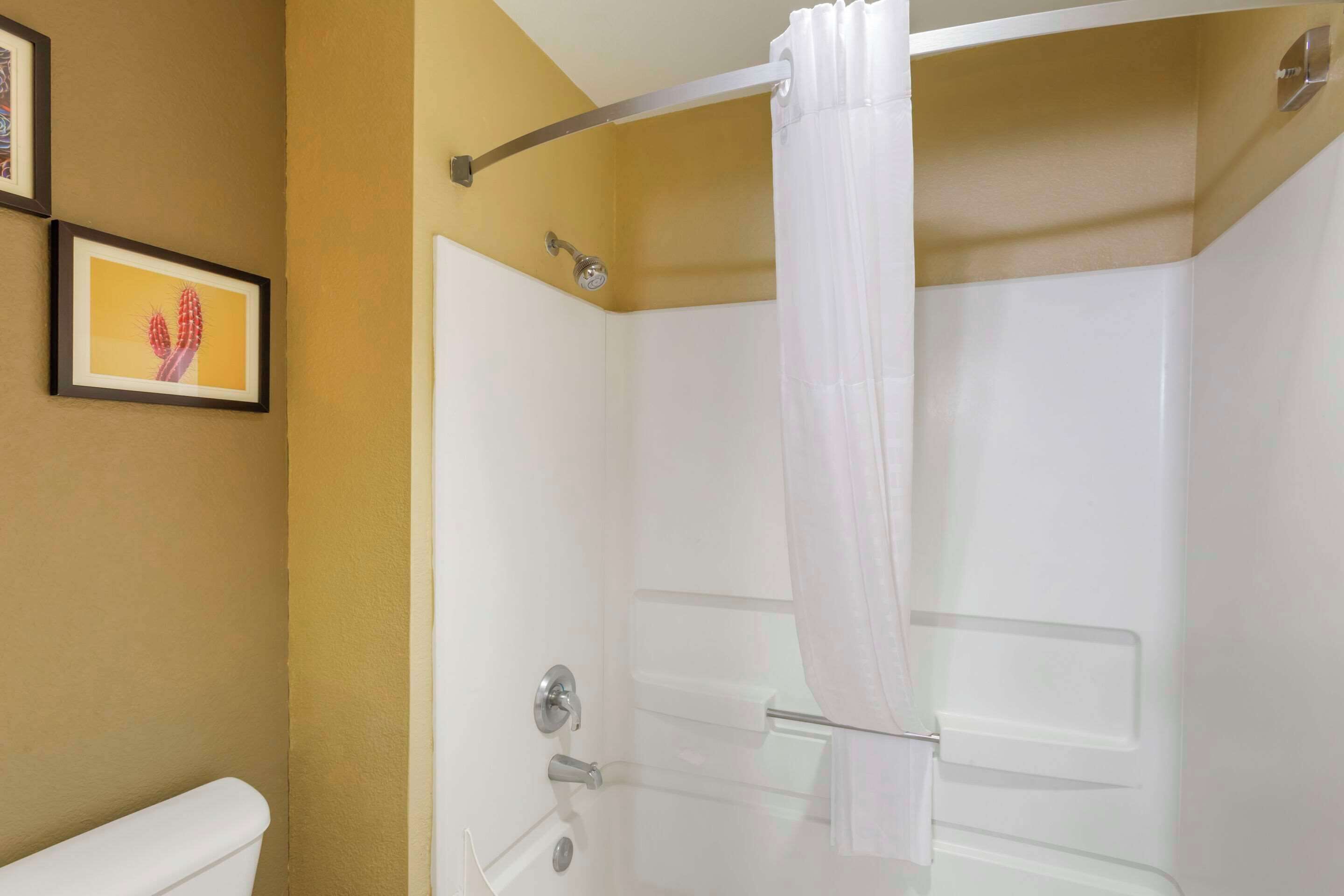 A bathroom with a shower, a toilet, and framed artwork on the wall.