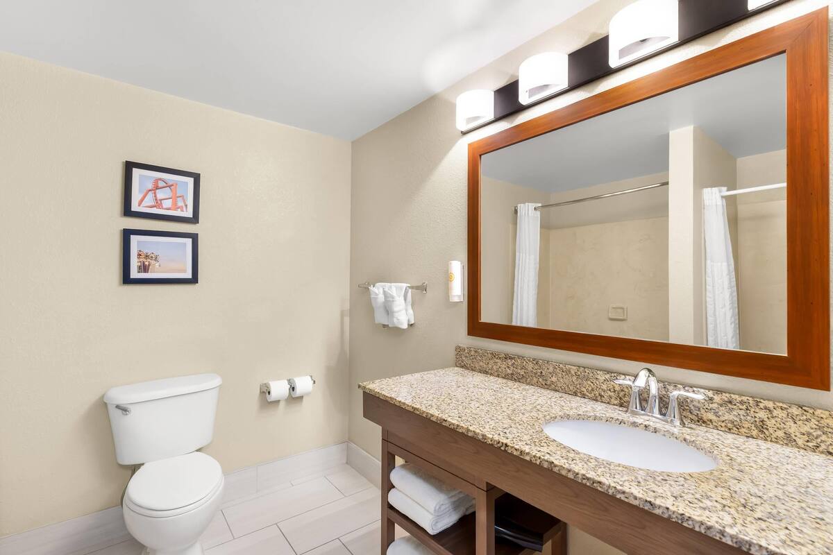 Une salle de bain avec des toilettes, un lavabo et un grand miroir. Deux tableaux encadrés sont accrochés au mur.