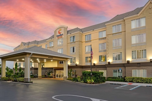 コンフォート スイーツ ニア ユニバーサル オーランド リゾート