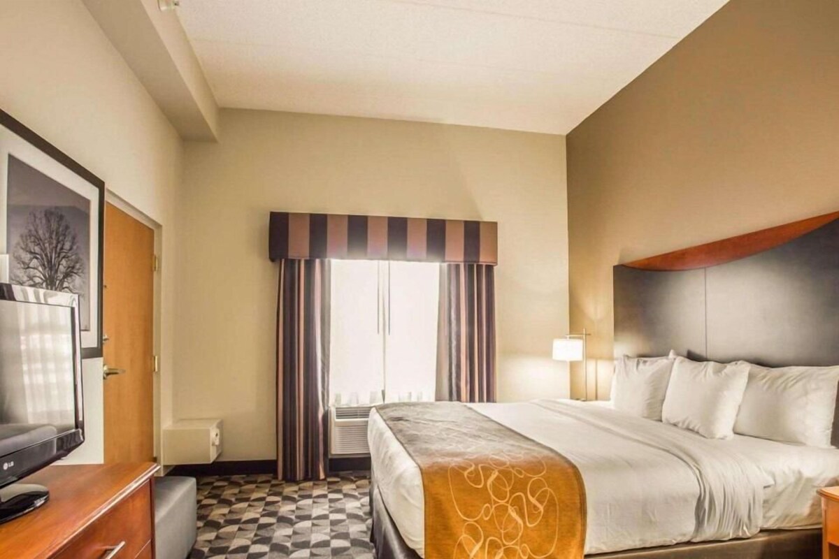 A hotel room with a bed, a TV, a desk with drawers, a window with curtains, and a lamp.