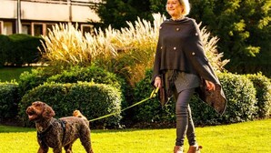 Una persona pasea un perro con correa en un área cubierta de césped, con un edificio al fondo.