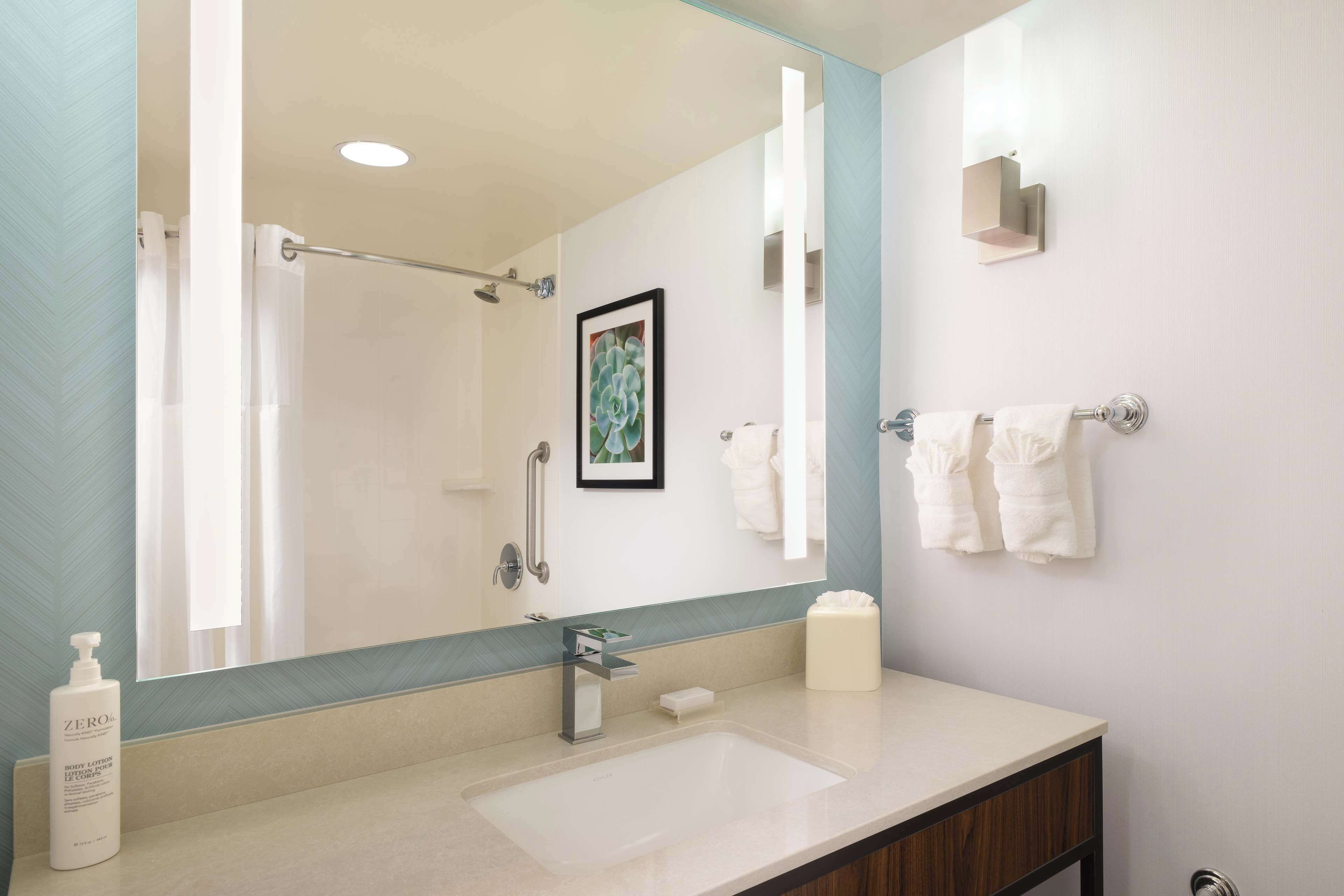 combined shower/bathtub, free toiletries, hair dryer, towels