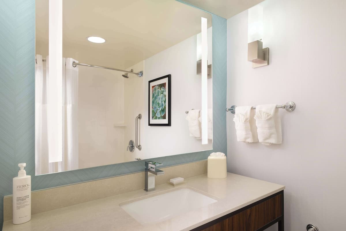 combined shower/bathtub, free toiletries, hair dryer, towels