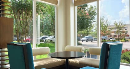 Hilton Garden Inn Houston/Bush Intercontinental Airport