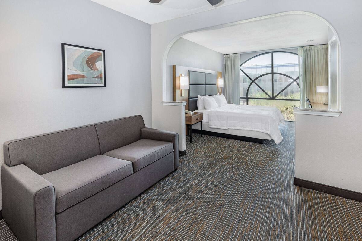 Une chambre d’hôtel avec un canapé gris, un lit avec du linge de lit blanc, une grande fenêtre avec des rideaux et un tableau abstrait encadré accroché au mur.