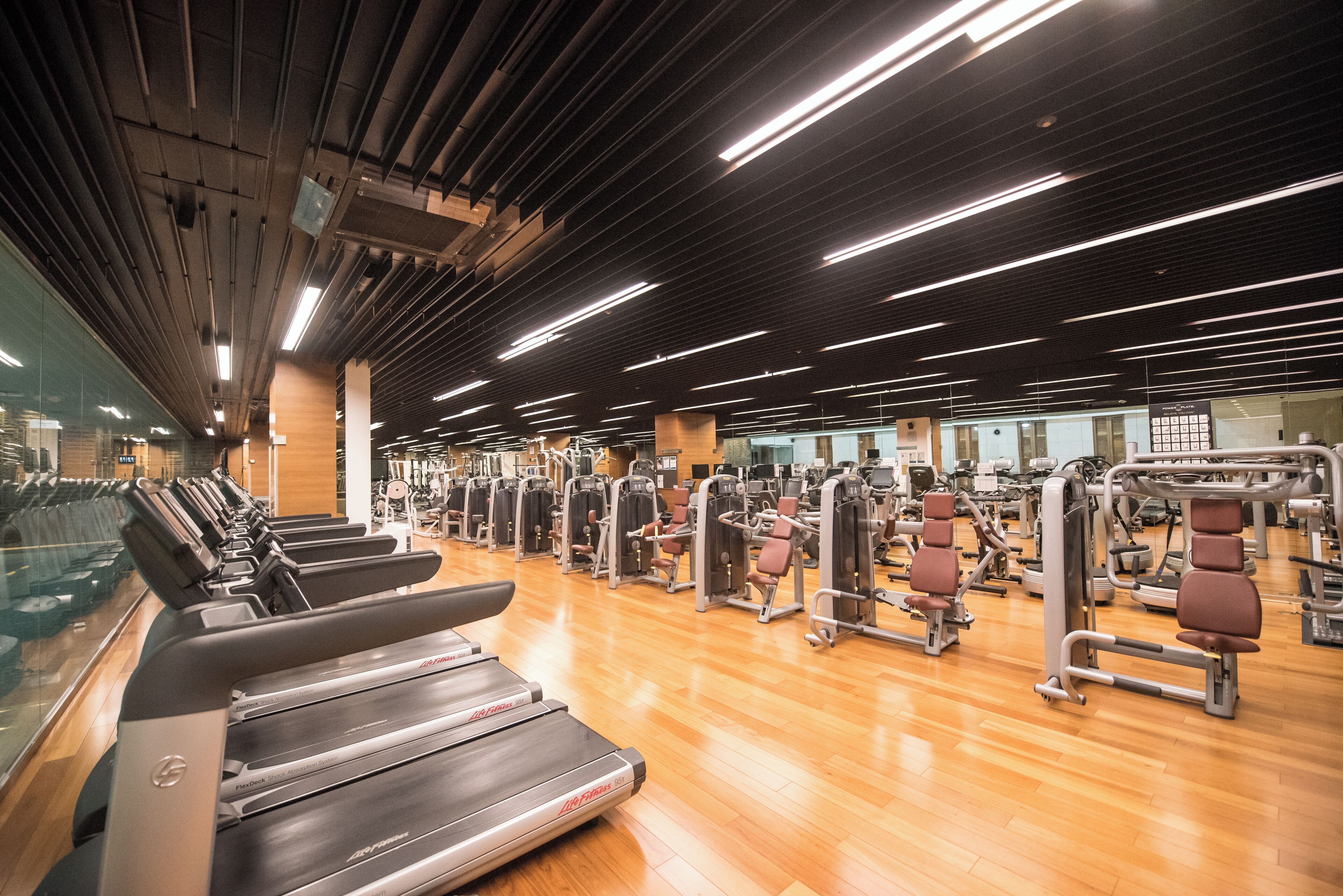 Un gimnasio con cintas de correr, máquinas de pesas y equipo de ejercicio.