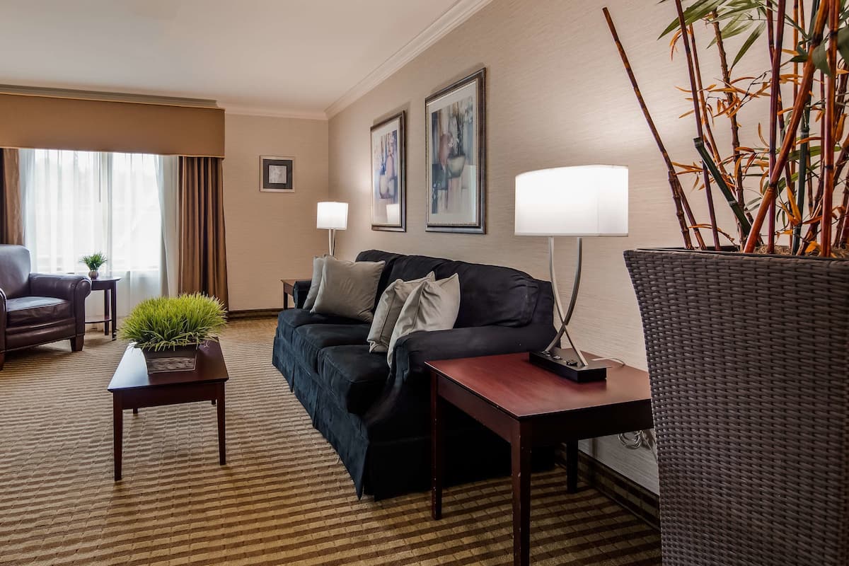 A hotel room with a dark blue sofa, a leather armchair, a wooden coffee table with a plant, a TV, and a large window with curtains.