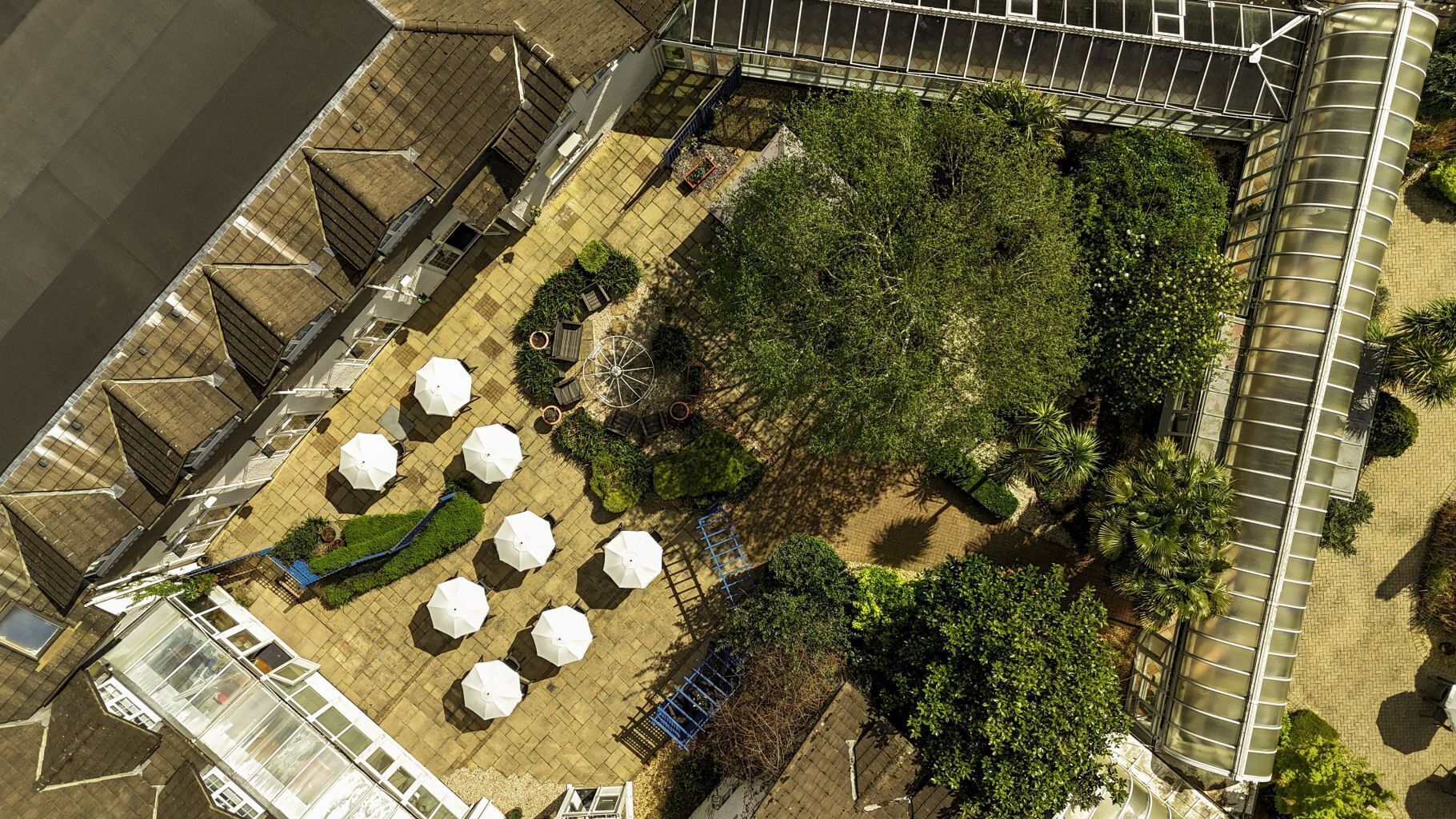 Vista aérea de un jardín en azotea con varios paraguas blancos, una estructura de invernadero y abundante vegetación.