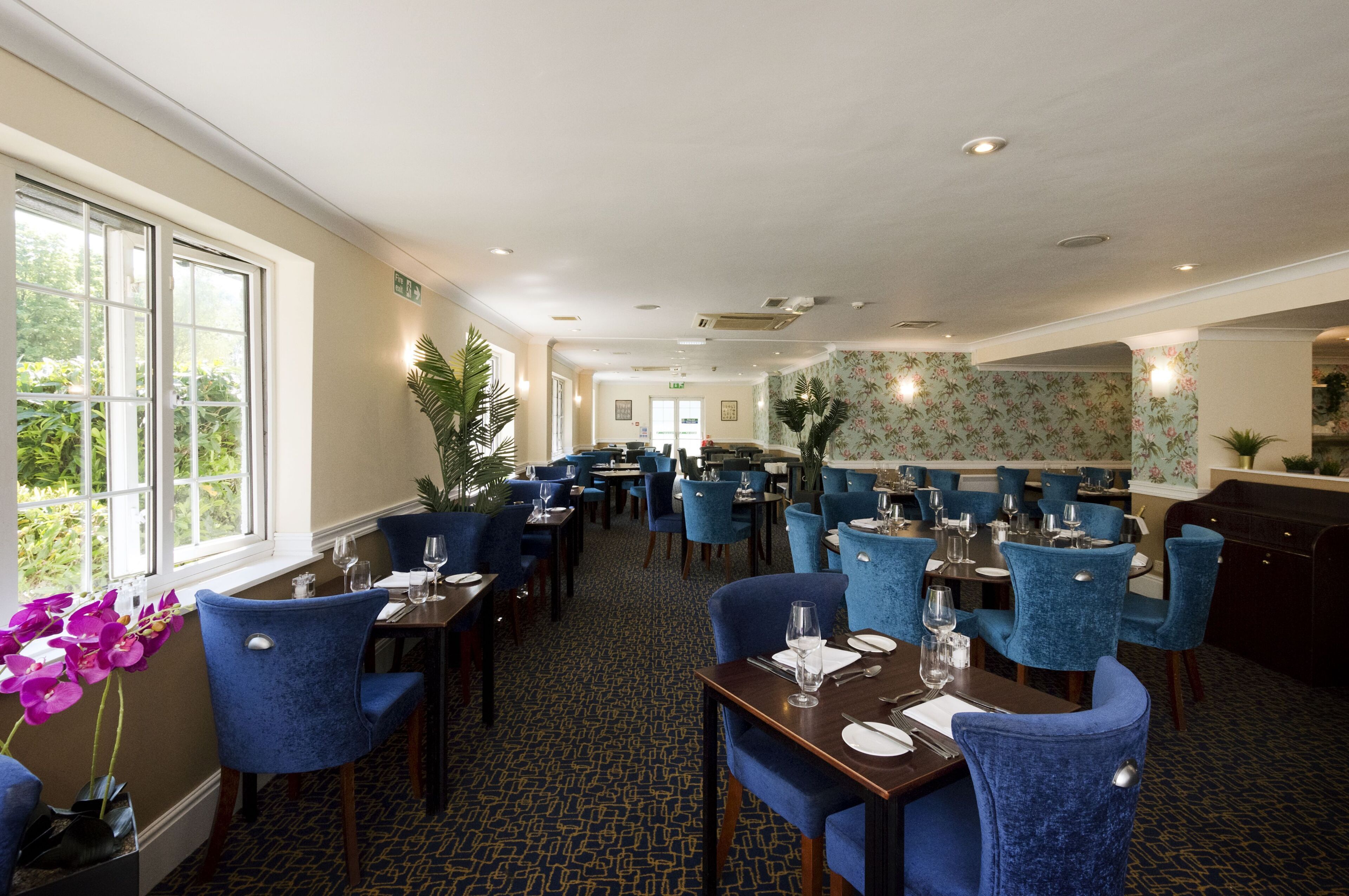 A restaurant with blue chairs, tables set with plates, glasses, and cutlery.
