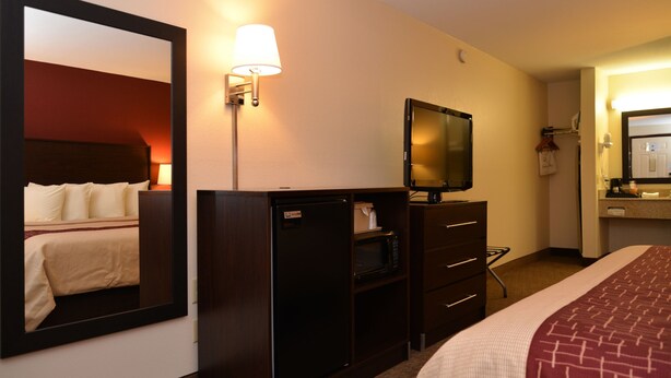 Une chambre d’hôtel équipée d’un lit, d’une télévision, d’un réfrigérateur, d’un four à micro-ondes, d’un miroir et d’une lampe.