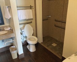 Deluxe Room, 1 King Bed, Mobility Accessible, Non Smoking (Roll-In Shower) | Bathroom | Towels, soap, shampoo, toilet paper