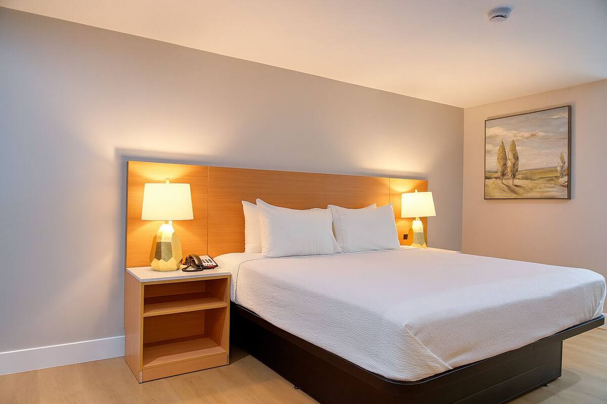 Una habitación de hotel con una cama grande, dos mesitas de noche con lámparas, un cabecero de madera y un cuadro en la pared.