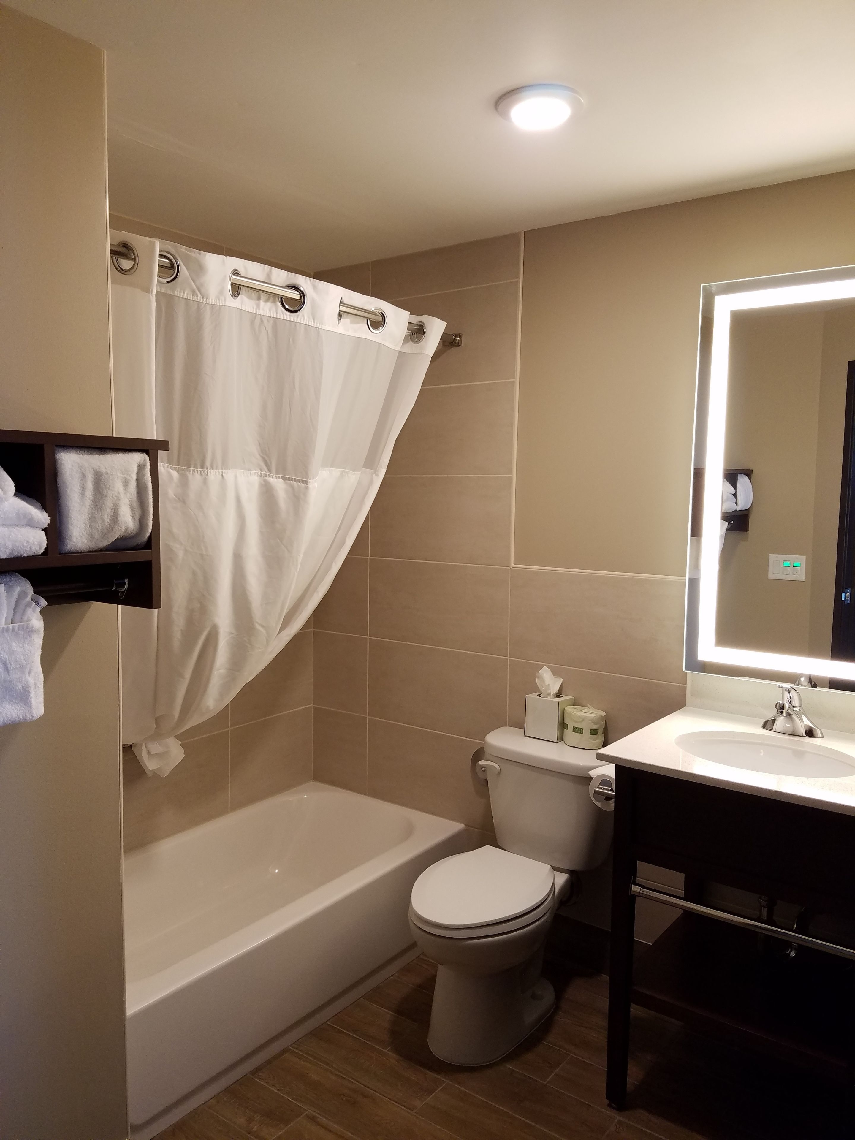 combined shower/bathtub, free toiletries, hair dryer, towels