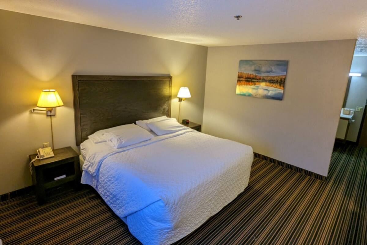 A hotel room with a large bed, two bedside lamps, a painting on the wall, and a telephone on the nightstand.