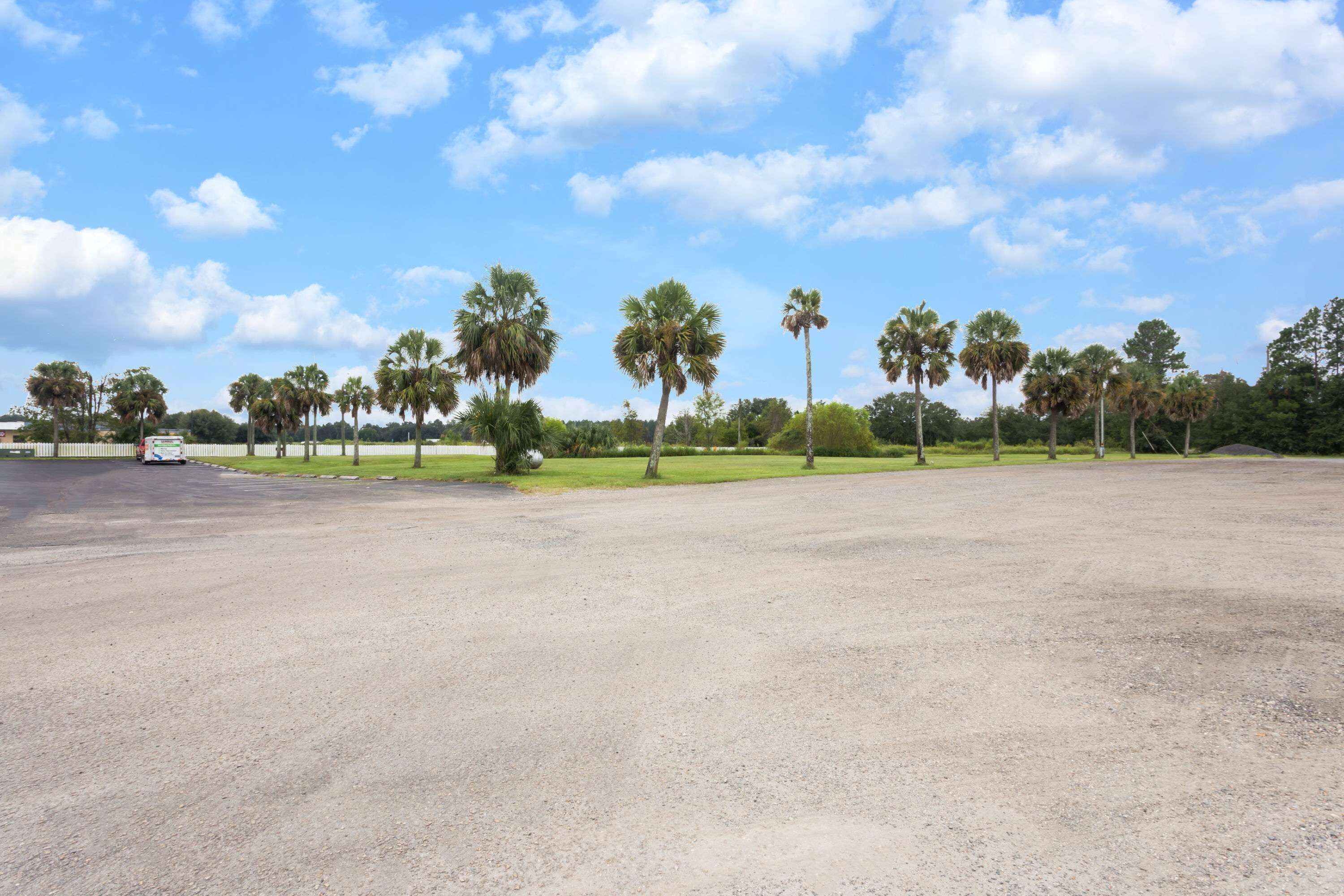 Ein großzügiger Parkplatz mit blauem Himmel und Palmen im Hintergrund.