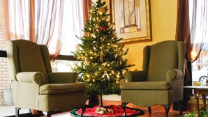 A room with two armchairs, a Christmas tree, and a framed picture on the wall.