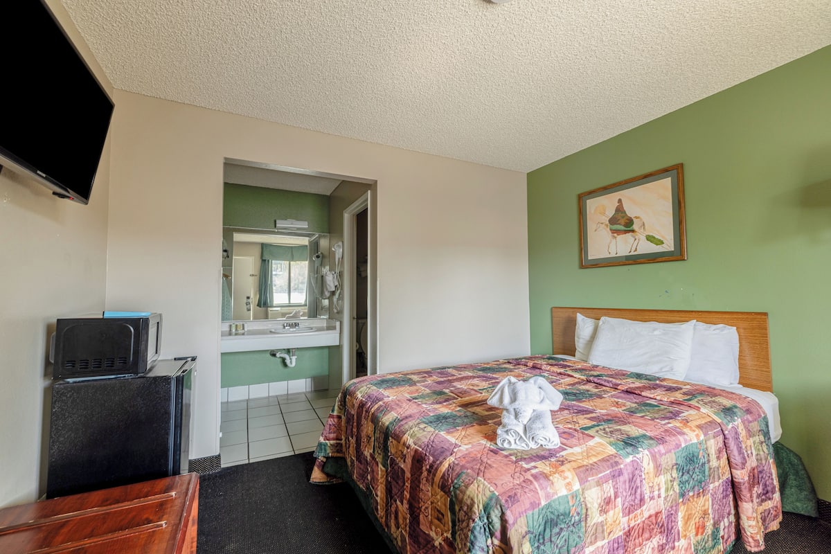 Une chambre d’hôtel comprenant un lit, une télévision, un petit réfrigérateur, une salle de bain avec un lavabo et un miroir, et un mur vert orné d’un tableau encadré.