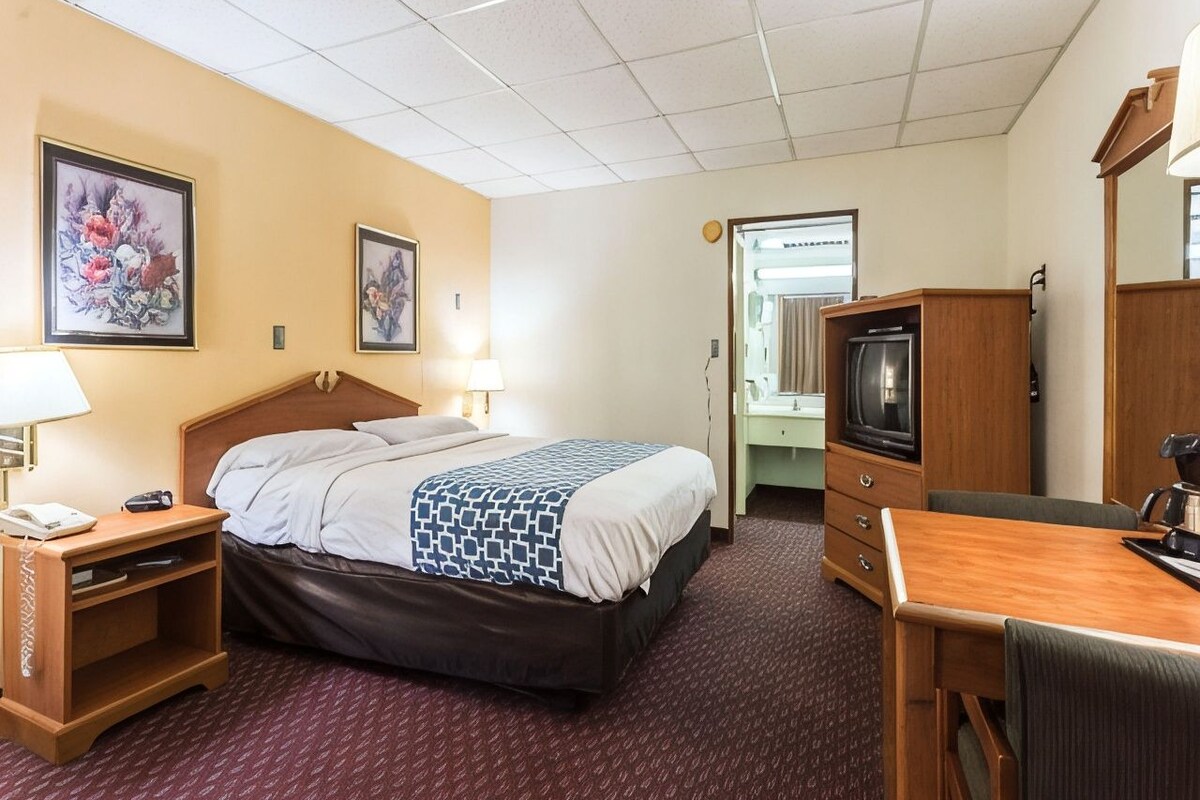 Cribs (surcharge), rollaway beds (surcharge), WiFi (free), bed sheets