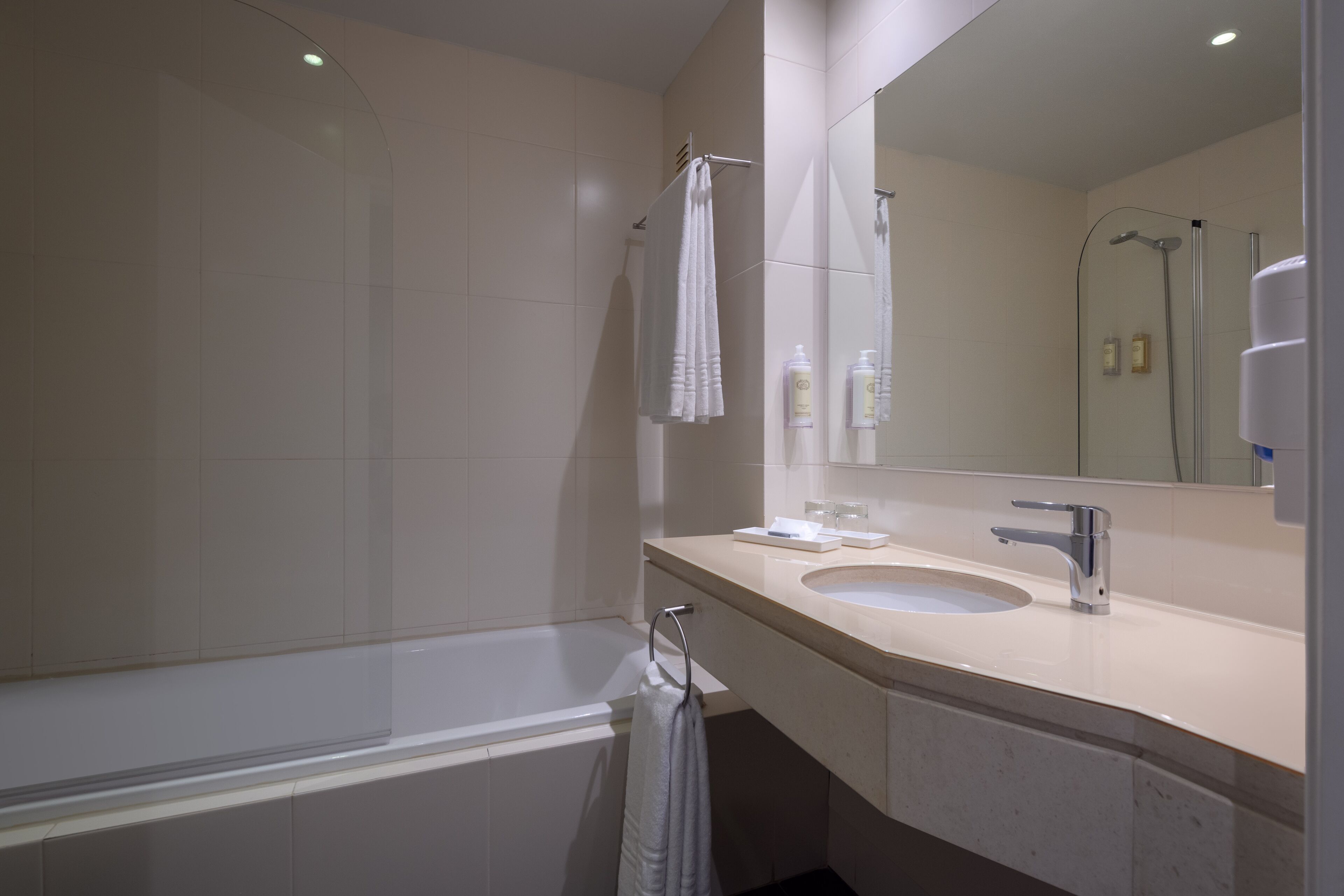 combined shower/bathtub, free toiletries, hair dryer, bidet