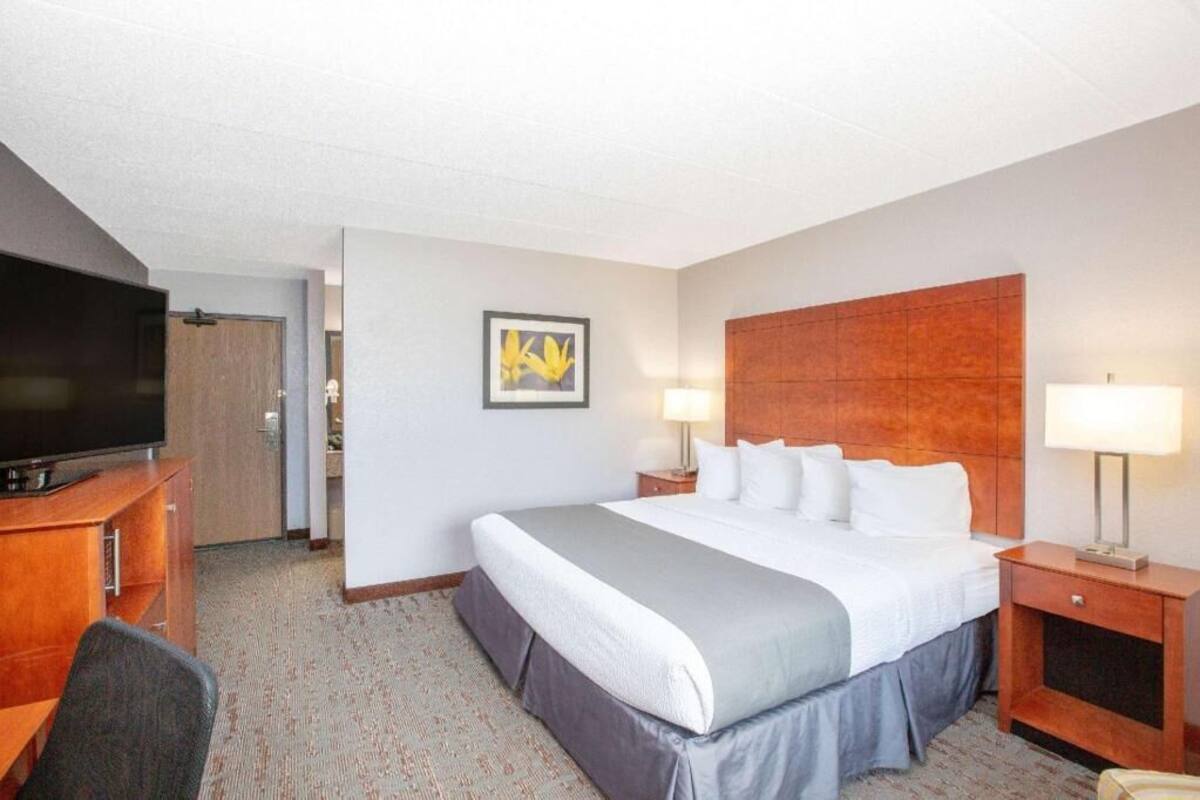 Desk, soundproofing, iron/ironing board, free cots/infant beds