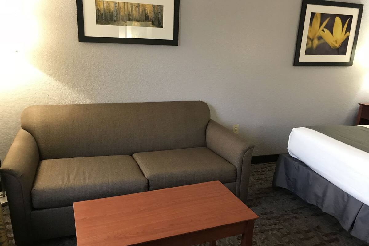 Living area | 49-inch flat-screen TV with satellite channels, TV