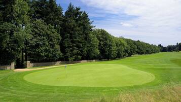 Un campo de golf con un green cuidado, un mástil con bandera y un muro de piedra con árboles al fondo.