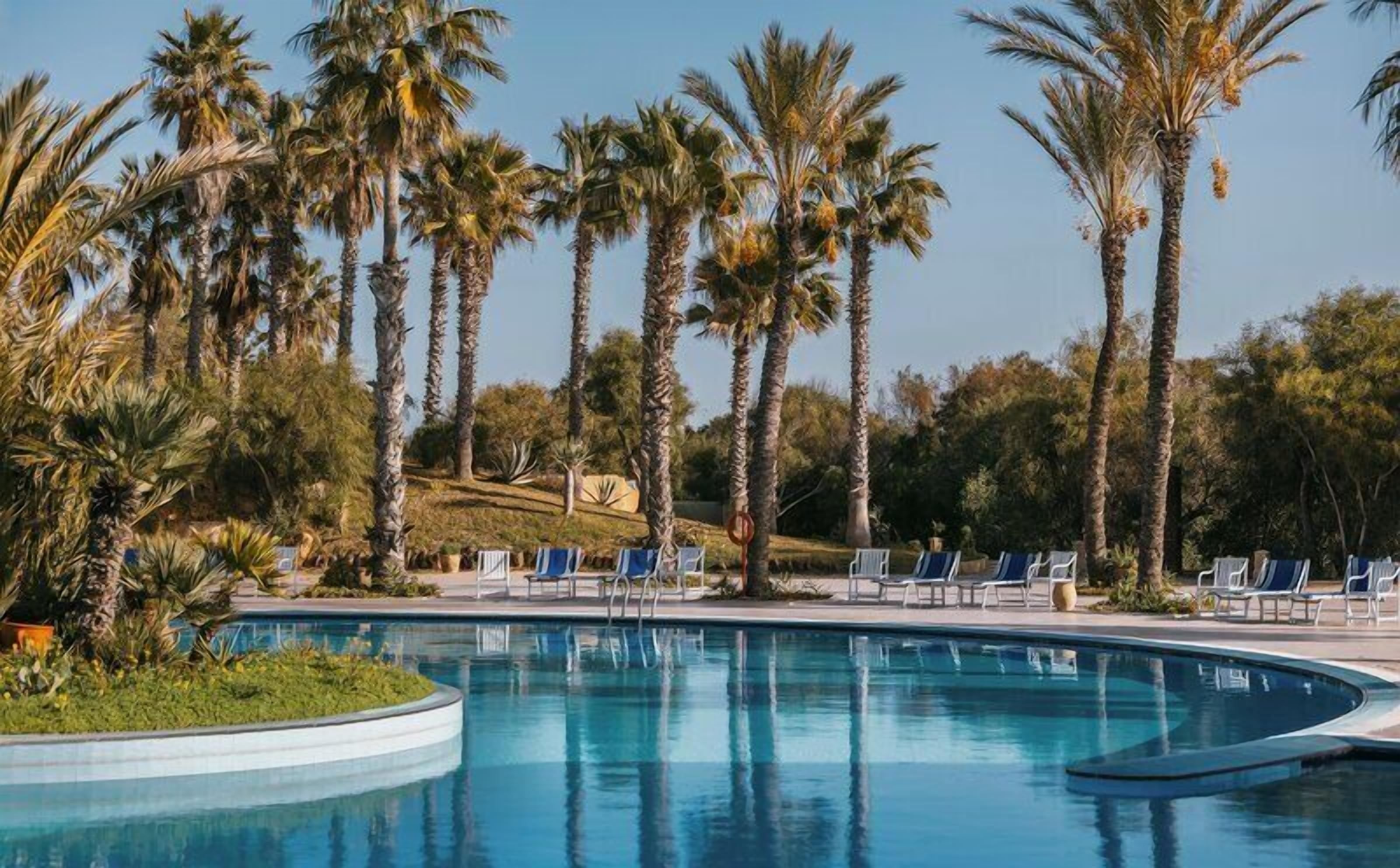 Une piscine entourée de palmiers et de chaises longues.