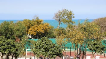 Vistas desde el alojamiento