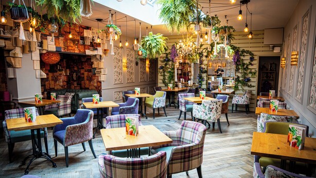 A cozy restaurant with wooden tables and plaid chairs, surrounded by hanging plants and bookshelves. - Lindeth Howe Hotel (Windermere)