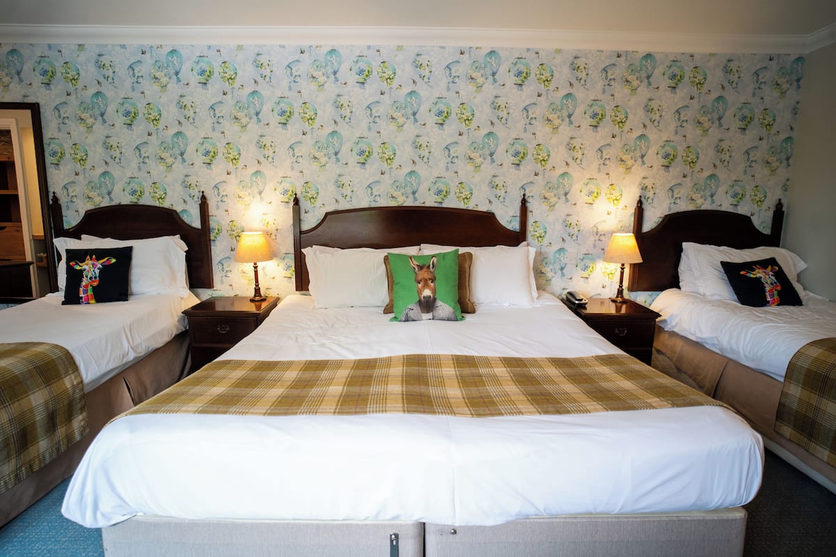 Family Room | In-room safe, desk, iron/ironing board, free WiFi