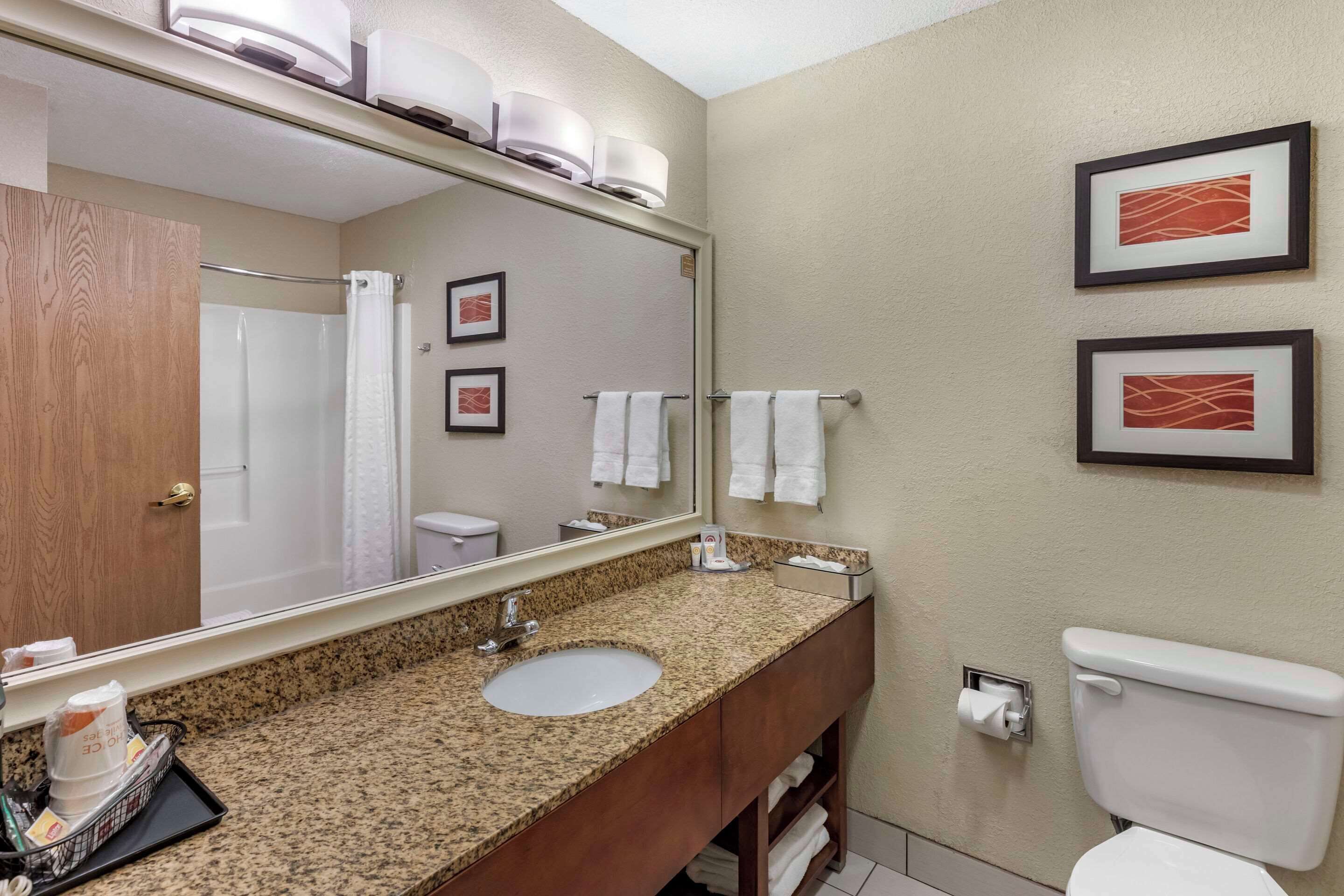 A bathroom with a granite countertop sink, a mirror, a toilet, and two framed pictures on the wall.