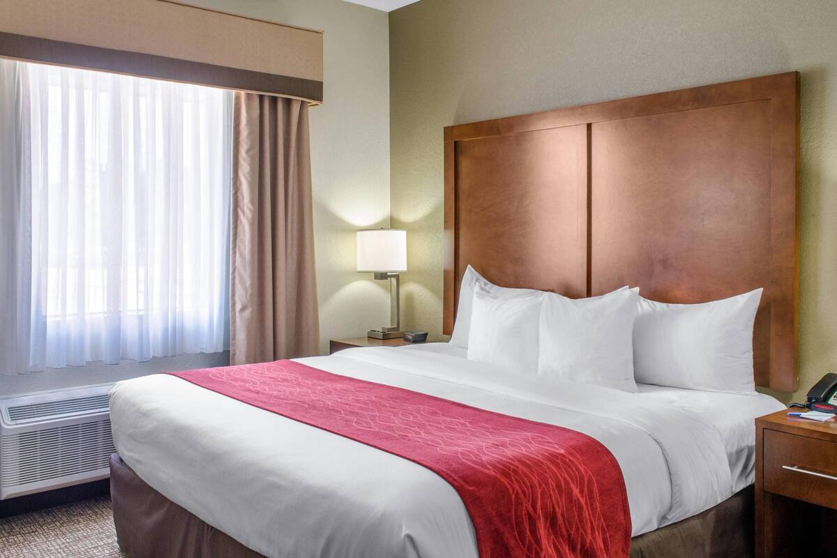 Une chambre d’hôtel avec un grand lit, une table de chevet, une lampe et une fenêtre avec des rideaux.