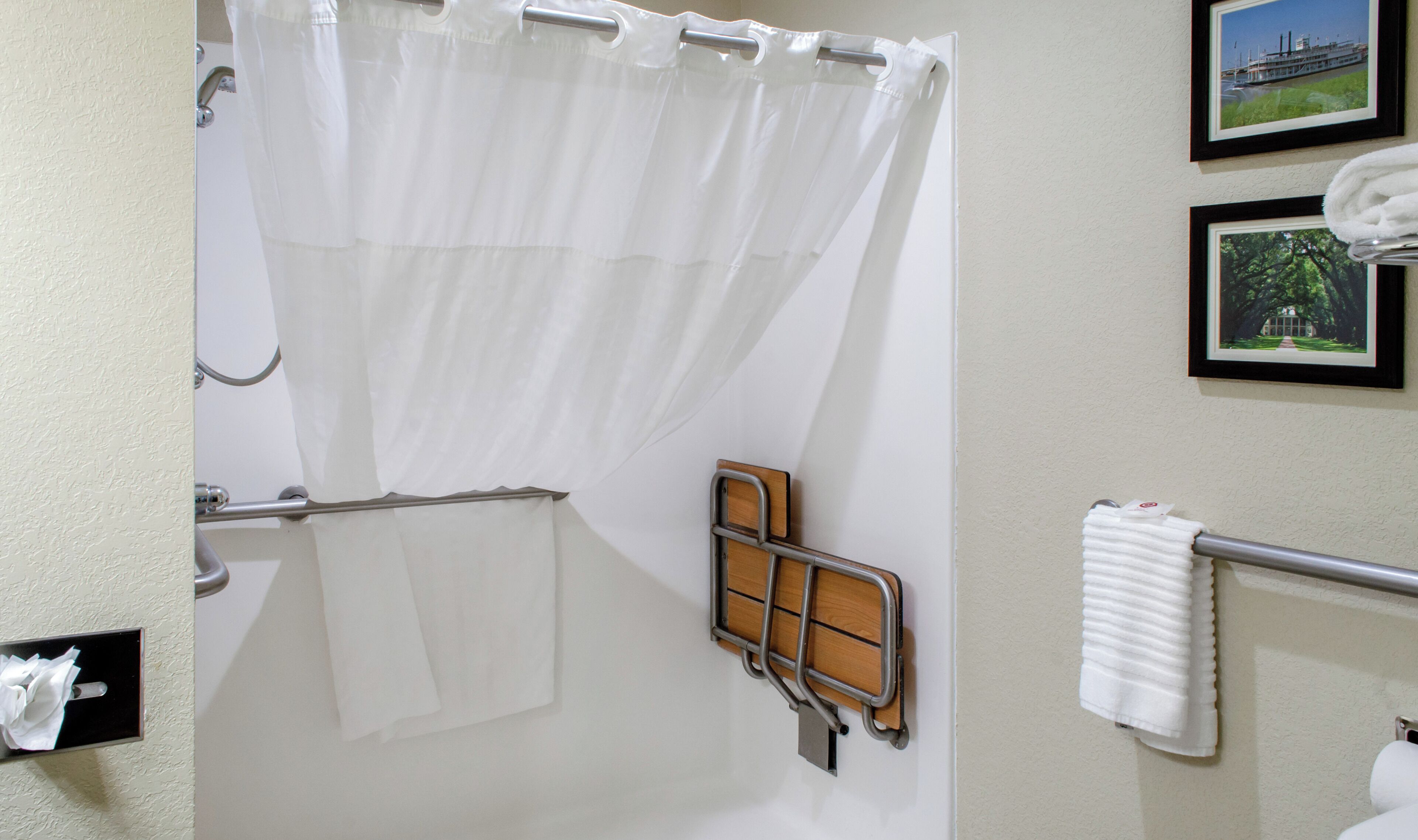 Un baño con cortina de ducha, un perchero y dos cuadros en la pared.
