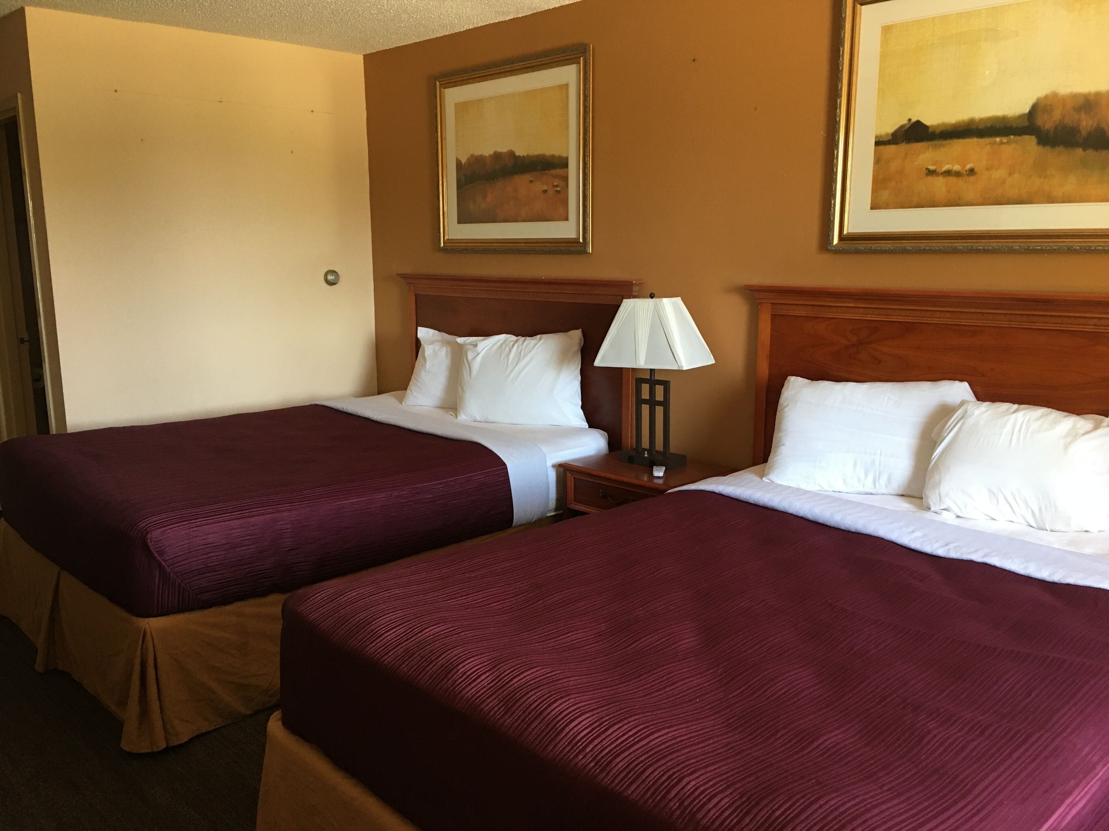 Habitación de hotel con dos camas, cada una con sábanas blancas y cubrecamas color burdeos. Entre las camas, una mesita de noche con una lámpara.
