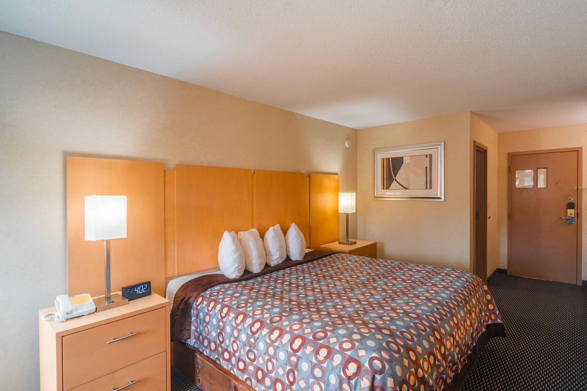 Chambre Standard, 1 trÚs grand lit, non-fumeurs | Lits pliants/supplémentaires, Wi-Fi gratuit, draps fournis