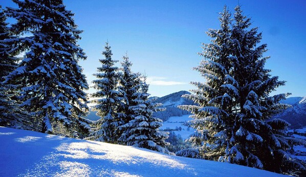 A snowy landscape with evergreen trees and a clear blue sky. - Hotel Folch (Sant Julia de Loria)