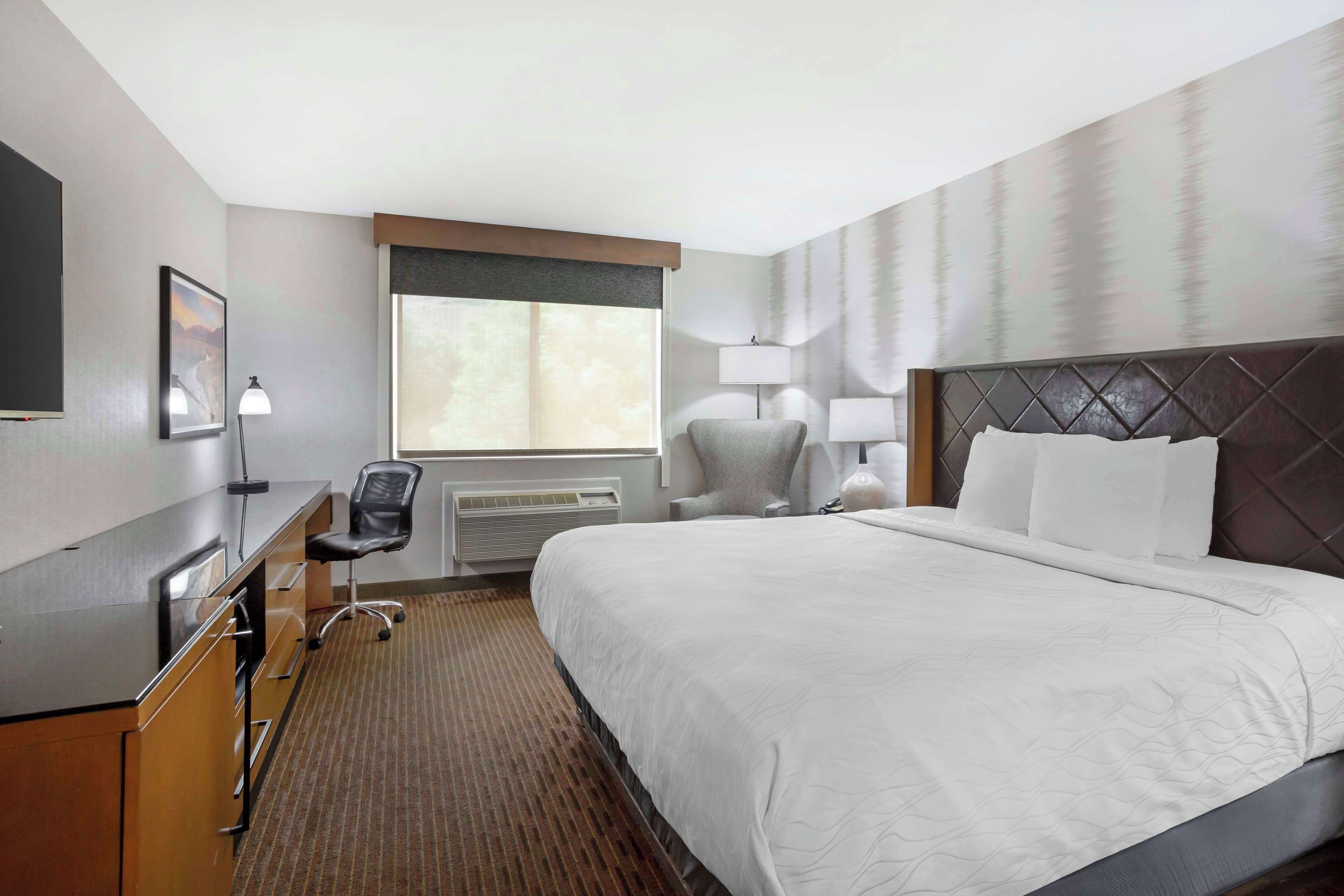 in-room safe, desk, iron/ironing board, free cots/infant beds