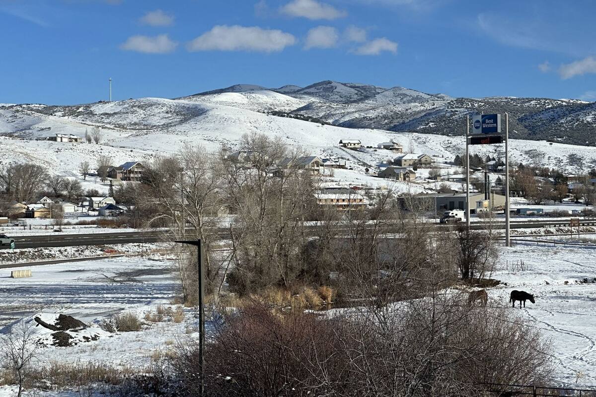 A snowy landscape with a sign for 'Best Western' hotel, a road, and a horse grazing.