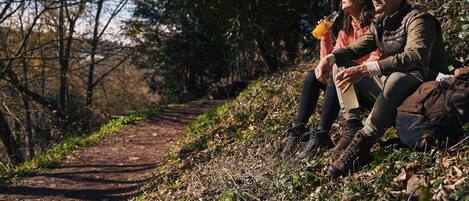 A couple sitting on a dirt path surrounded by trees.