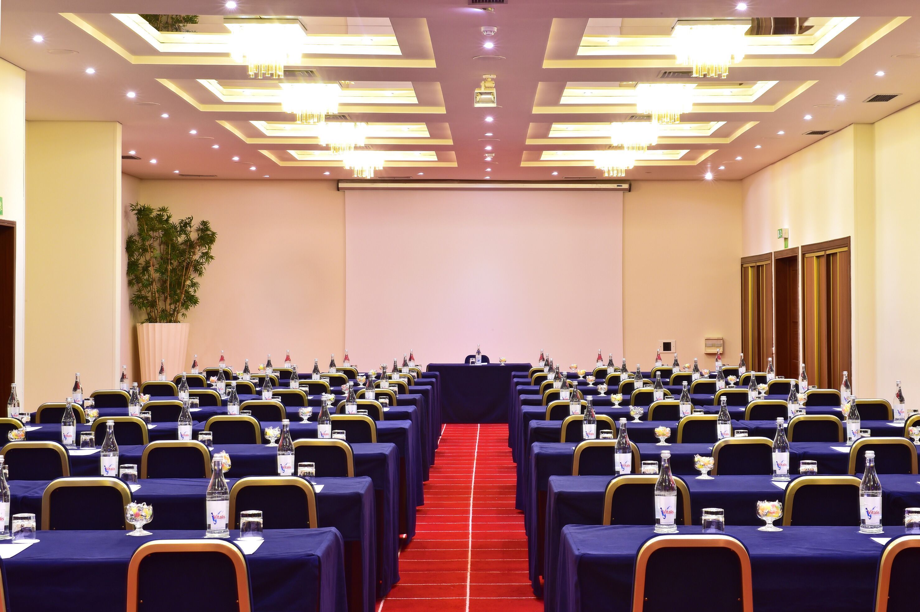 Une salle de conférence avec des rangées de tables, de chaises et des bouteilles d’eau, agrémentée d’un tapis rouge et d’un éclairage moderne.
