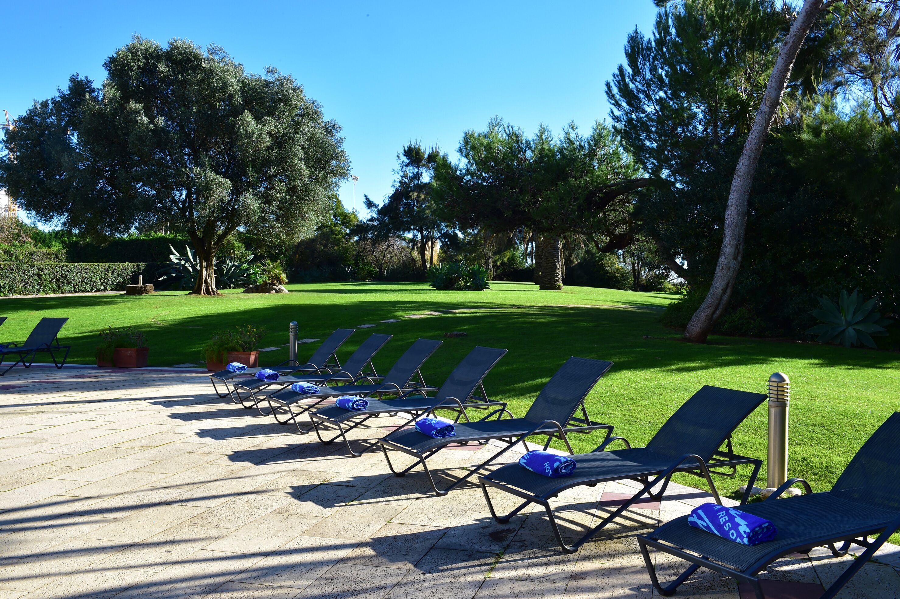 A row of sun loungers on a paved patio with a well-manicured lawn and trees in the background.