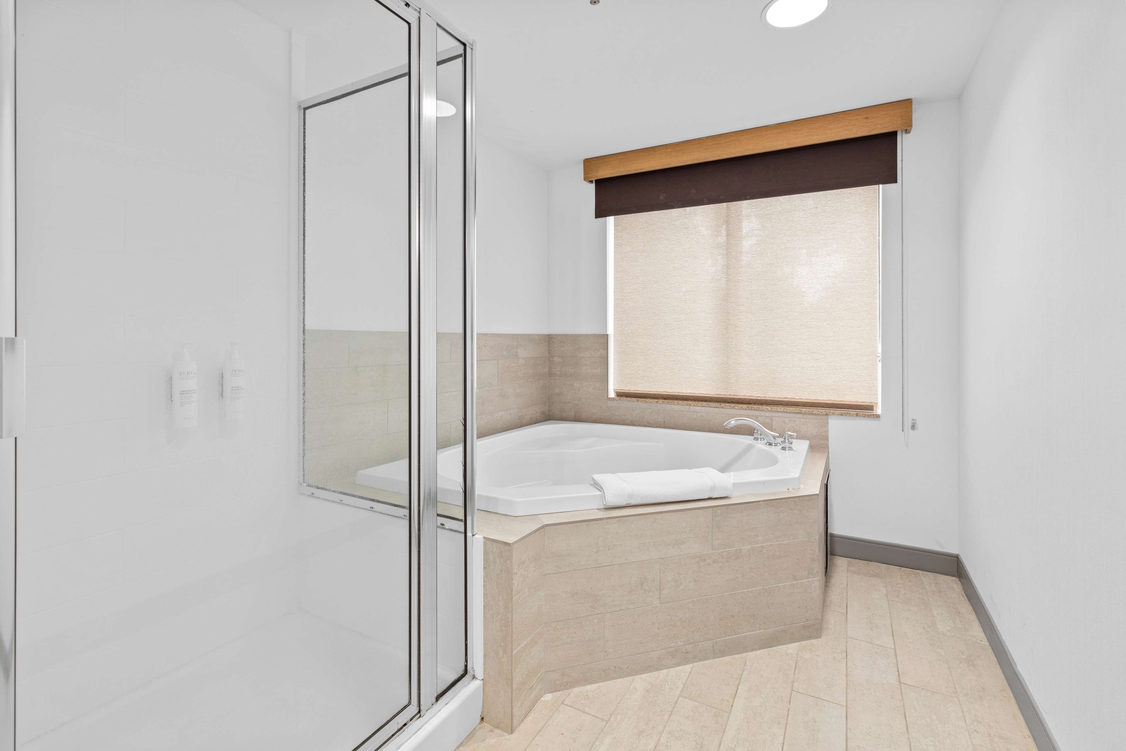 one king one bedroom whirlpool suite | bathroom shower