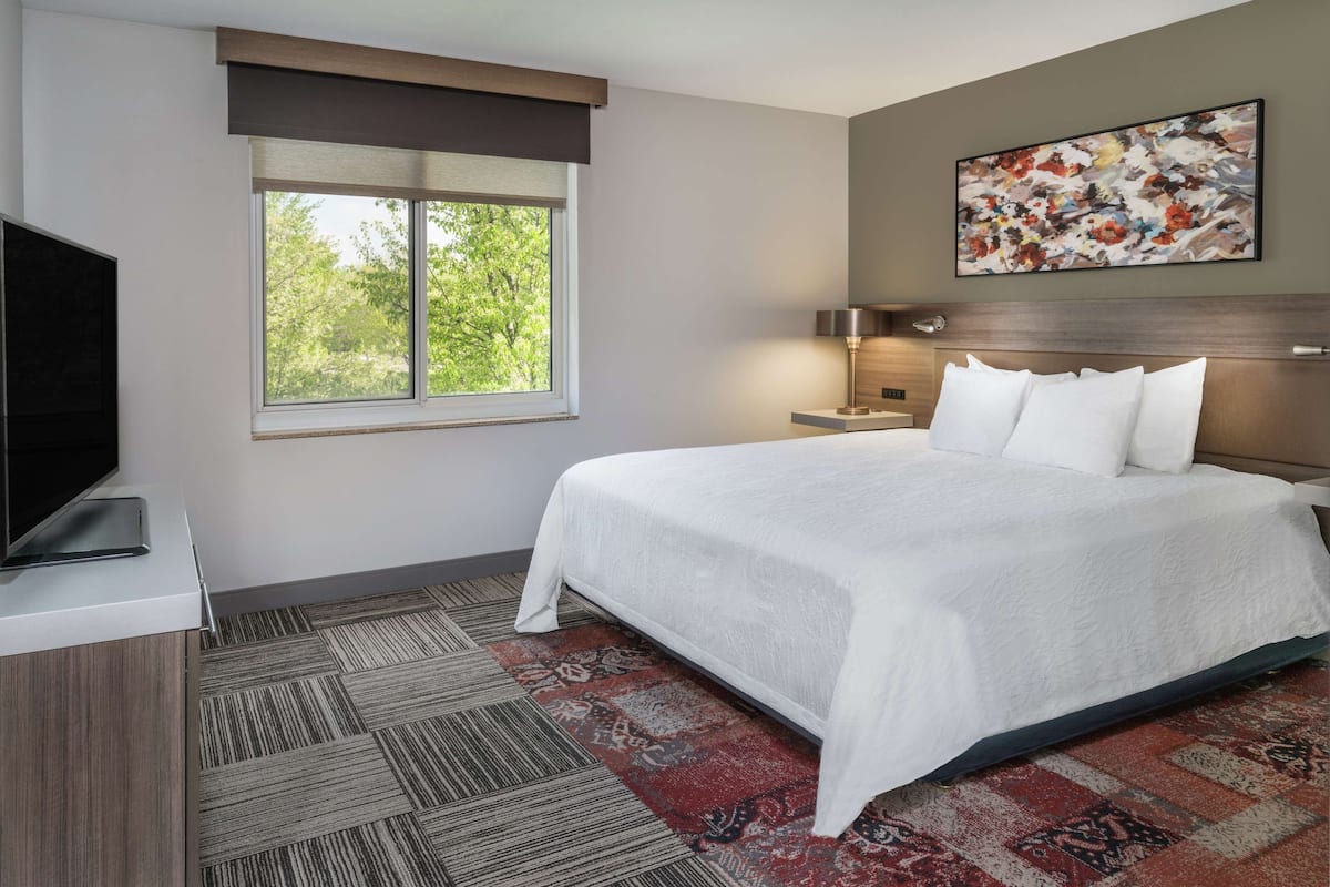 A hotel room with a large bed, a television, a window with a view of trees, a patterned rug, and a painting on the wall.